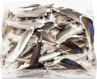 Produktbild von Entenfedern Natur, ca. 10cm verpackt mit ca.45 Gramm | Enten Federn für Bastelprojekte und Traumfänger | Federn zum Basteln und Dekorieren | Dekofedern | Bastelfedern | Indianerfedern