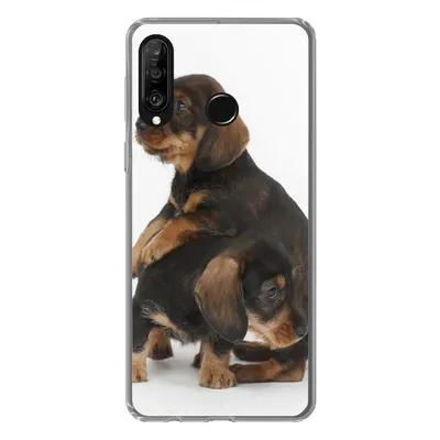 Produktbild von MuchoWow® Handyhülle Schutzhülle Hülle für Huawei P30 Lite Studiofoto von zwei süßen Dackeln Silikon Softcase Handy Hülle - Handyhülle