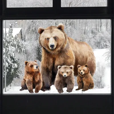 Imagen del producto de Vinilo decorativo para ventanas con motivo de osos, de 43 x 45 cm, ideal para habitaciones infantiles
