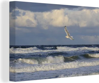 Obrázek produktu pro OneMillionCanvasses® Malba na plátně Nástěnná malba na plátně - Baltské moře - Racek - Voda - 150x100cm