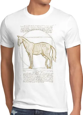 Produktbild von style3 Vitruvianisches Pferd Herren T-Shirt stute hengst pony reiten
