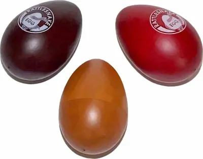 Produktbild von Klapperschlangen-Ei