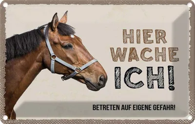 Produktbild von vianmo Blechschild 20x30 cm Pferd hier wache ich eigene Gefahr