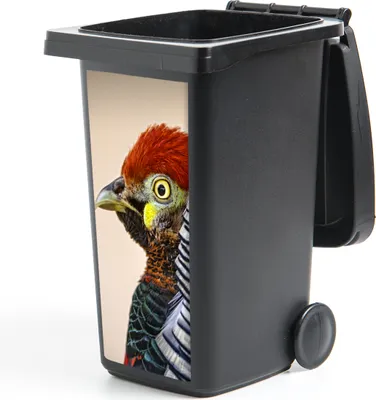 Produktbild von MuchoWow® Mülltonnenaufkleber Fasan - Porträt - Vogel 38x80 cm - Behälteraufkleber - Mülleimer-Aufkleber - Container-Aufkleber