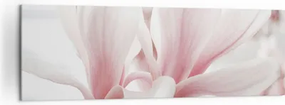 Produktbild von Bild auf Leinwand - Leinwandbild - Einteilig - Zweig Magnolie Blume - 160x50cm - Wand Bild - Wanddeko - Wandbilder - Leinwanddruck - Bilder - Wanddekoration - Leinwand bilder - AB160x50-4538