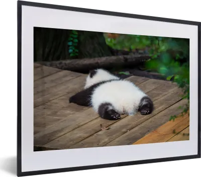 Produktbild von MuchoWow® MuchoWow® Gerahmtes Poster Tier - Panda - Schlafend 40x30 cm - Poster mit zchwarzem Bilderrahmen - Bilderrahmen - Poster im Rahmen