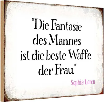 Produktbild von vianmo Holzschild 12x18 cm Fantasie des Mannes beste Waffe Spruch Zitat