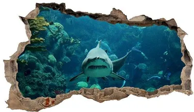 Produktbild von Selbstklebender Wandsticker Wandtapete Wanddeko Haustier Wandbild H 60 x B 100 Schlafzimmer Wohnzimmer (WL40 Hai)
