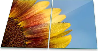 Produktbild von Herdabdeckplatte Glaskeramik 2-Teilig 2x40x52 Sonnenblume Gelb Abdeckung Spritzschutz