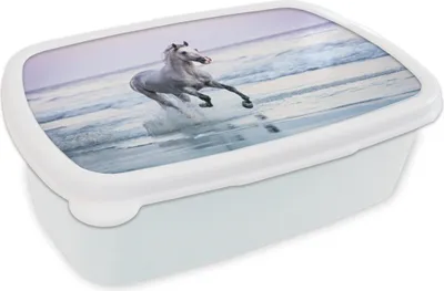 Produktbild von KitchenYeah® Lunchbox Brotzeit Brotdose 17x11 cm Pferd - Meer - Pastell Kinder Brotzeitdose - Lunch Box - Kinder - Sandwich-Box - Schulbox - Lunch Boxen