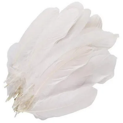 100 weiße Gänsefedern 15,2–22,9 cm Bastelzubehör