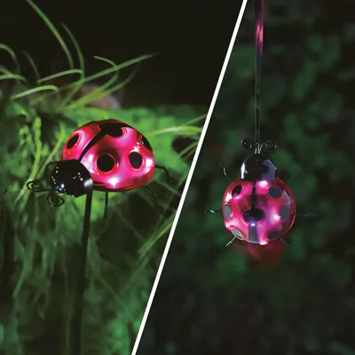Produktbild von Solarlaterne Marienkäfer – mit Erdspieß / Klemme – 6 LEDs – Kaltweiß – Rot – 15 x 7 x 16 cm – Solarbetrieben – Automatisches Einschalten bei Dämmerung – Dekorative Gartenbeleuchtung [11771A], KI-generiertes Bild