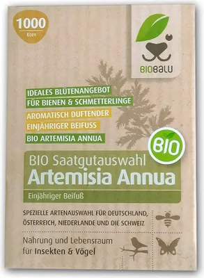 Artikelbild 2 von 'BIO Artemisia Annua (1000 Korn)' aus der Kategorie Beifußsamen