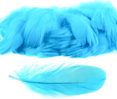 Produktbild von 100 Gänsefedern, 10x3cm-3x1cm, himmelblau, zum Basteln Verzieren als Deko