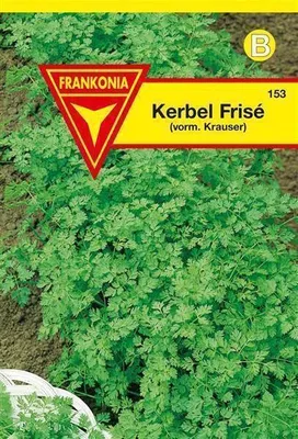 Produktbild von Kerbel