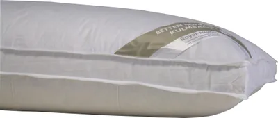 Produktbild von Hofmann Bayern Kissen Kopfkissen mit Außensteg 40x80 Federkissen 30% Daunen 650g