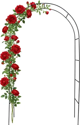 Produktbild von Relaxdays Rosenbogen Metall, verstellbar, Torbogen Garten, H: 195-240 cm, B: 140-190 cm, für Kletterpflanzen, schwarz