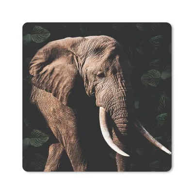 Produktbild von MuchoWow® Mauspad Mousepad Elefant - Tiere - Zähne 30x30 cm - Mousepads - Maus Mat - Pad - Mausunterlage - Gaming