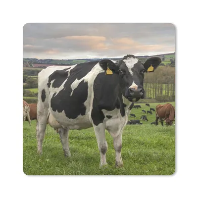 Produktbild von MuchoWow® Mauspad Mousepad Kuh - Berg - Gras - Tiere 20x20 cm - Mousepads - Maus Mat - Pad - Mausunterlage - Desk Mat - Bureauartikeln