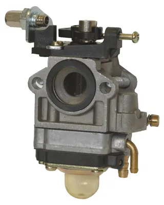 Image de Carburateur Pour Souffleur Thermique Manuel Cardinale