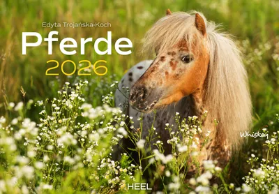 Produktbild von Pferde Kalender 2026 Wandkalender