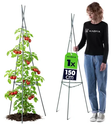 Produktbild von KADAX Obelisk Rankhilfe 150 cm, 1 Stück, Pflanzenstütze aus Metall mit Kunststoffbeschichtung für Gewächshaus, Rankpyramide für Tomaten, Gurken & Kletterpflanzen