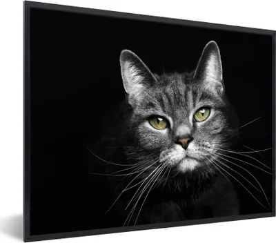 Produktbild von MuchoWow® Gerahmtes Poster Haustiere - Katze - Tiere - Schwarz - Weiß 40x30 cm - Poster mit Schwarzem Bilderrahmen Wandposter Rahmen Foto Bilder - Kunstposter - Wanddekorationen