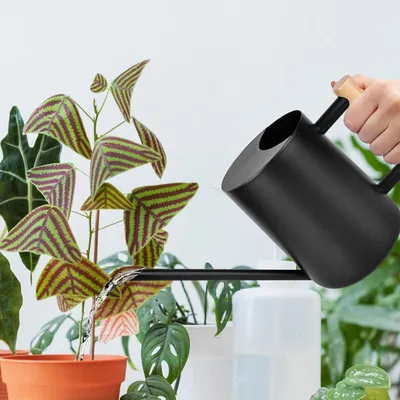 Image de Arrosoir noir - 1 litre - inox - poignée ergonomique