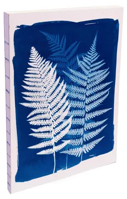 Produktbild von Clairefontaine 4x Soft Broschüre Notizbuch A5 80 Blatt liniert sortiert 83505C