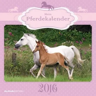 Produktbild von Mein Pferdekalender 2016 Broschürenkalender