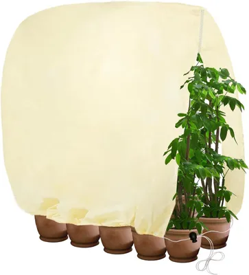 Immagine prodotto di Protezione invernale per piante, 160 x 240 cm, traspirante, protezione dal gelo