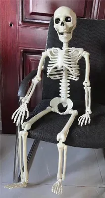 Produktbild von XXL Deko Skelett Mensch 100 cm Beweglicher Kopf, Beine, Hände Halloween Karneval