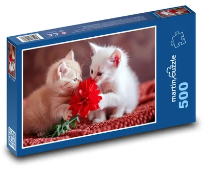 Obrázok produktu pre Puzzle 500 Roztomilé mačiatka s kvetom - martinpuzzle