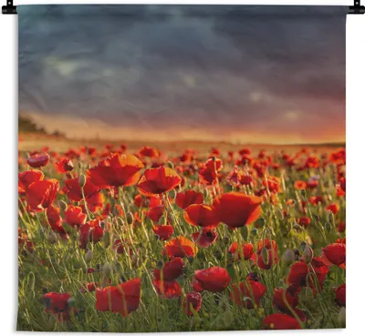 Produktbild von MuchoWow® Wandteppich Wandbehang Sonnenuntergang über einem Feld von Mohnblumen 90x90 cm Tapisserie Dekoration Wandtuch - Wandaufhänger