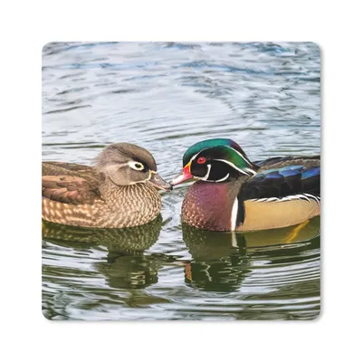 Produktbild von MuchoWow® Mauspad Mousepad Ente - Vögel - Wasser - Federn - Tiere 30x30 cm - Mousepads - Maus Mat - Pad - Mausunterlage - Gaming