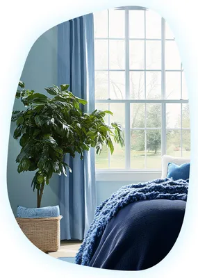 A bedroom scene with a large plant and a bed with blue bedding.