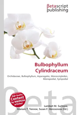 Produktbild von Bulbophyllum Cylindraceum