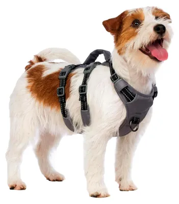 Produktbild von Sicherheitsgeschirr für Hunde, Ausbruchsicher, Panikgeschirr mit reflektierendem Design und Griff, Verstellbares Geschirr für kleine, mittelgroße und große Hunde (Schwarz, S)