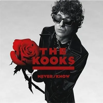 Obrázek produktu pro The Kooks - Never/Know (LP)