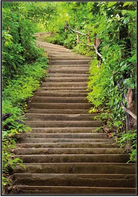 Produktbild von Wallario Wandbild Steintreppe im Wald, Größe: 70,30 x 100,30 cm, Poster mit schwarzem Aluminiumrahmen