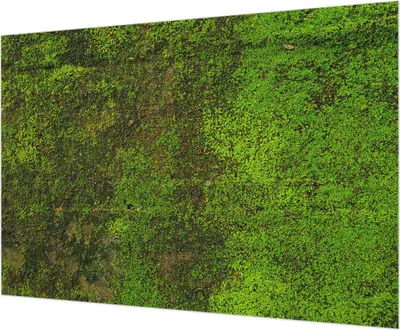 Produktbild von Wandtapete - Dekorative Tapete für Wohnzimmer - Tapetenfolie für Wanddekoration - 208x146 cm - Grüner Teppich