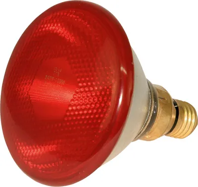 A red heat lamp bulb is shown against a white background.