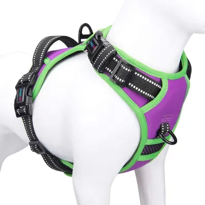 Productafbeelding van Antitrekgordel voor honden, verstelbaar met trainingshandvat, reflecterend, paars/violet, maat S