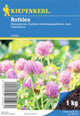 Produktbild von Kiepenkerl Saatgut Rotklee Trifolium pratense für 250 m² 1 kg