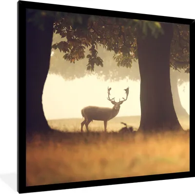 Produktbild von MuchoWow® Gerahmtes Poster Hirsche - Bäume - Wald 40x40 cm - Poster mit Schwarzem Bilderrahmen Wandposter Rahmen Foto Bilder - Mit Rahmen - Wanddekoration Schlafzimmer