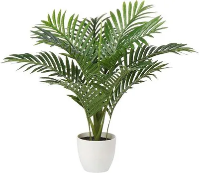 Immagine prodotto di Grande decorazione tropicale, 60 cm, palma artificiale per il soggiorno