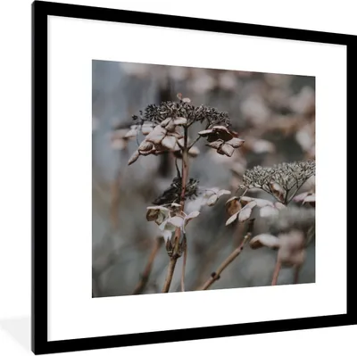 Produktbild von MuchoWow® Gerahmtes Poster Blumen - Eiscreme - Winter 40x40 cm - Poster mit Schwarzem Bilderrahmen Wandposter Rahmen Foto Bilder - Poster - Plakat im Rahmen