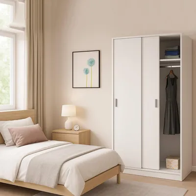Image de Armoire 2 Portes, 100x200h cm Blanc, Penderie
