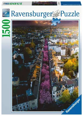Image de Bonn en fleurs Ravensburger 17104