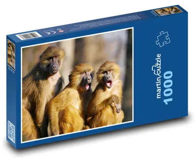 Obrázek produktu pro Puzzle 1000 Paviání rodina v přírodě - martinpuzzle